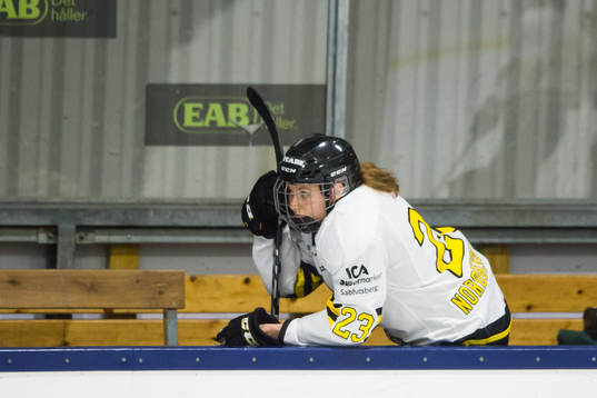 s Louise Nordberg Tenglin deppar