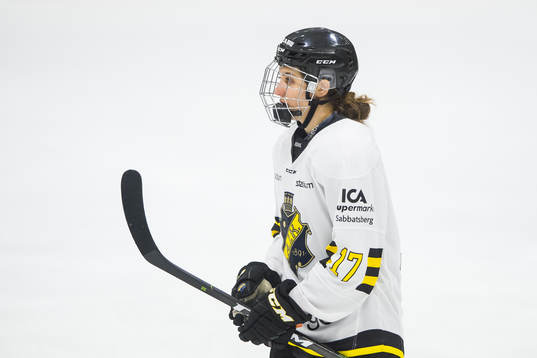 s Frida Ekdahl deppar