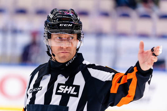 Domare Sören Persson