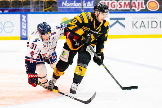 Bläddra bland fler bilder av Ishockey, SHL, Skellefteå - Linköping
