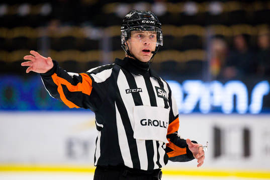 Domare Mikael Andersson