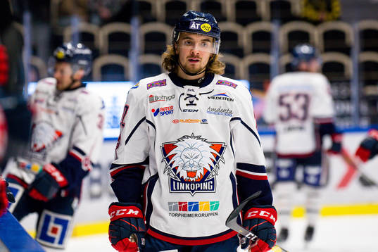 Linköpings Adam Brodecki deppar