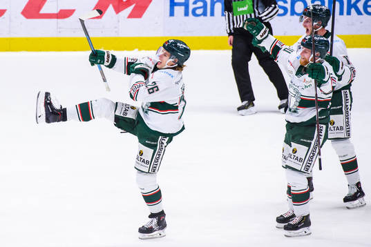 Bläddra bland fler bilder av Ishockey, Hockeyallsvenskan, Södertälje - Tingsryd