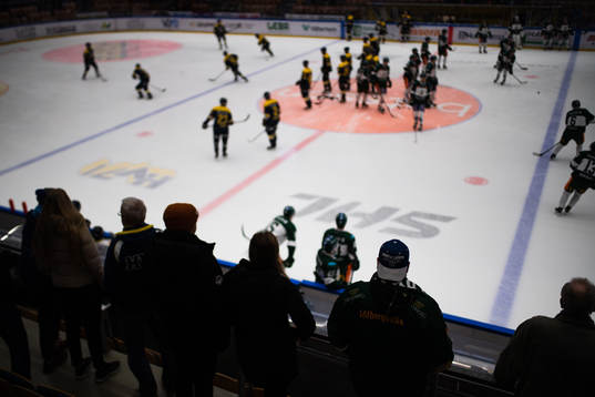 s och Färjestads spelare