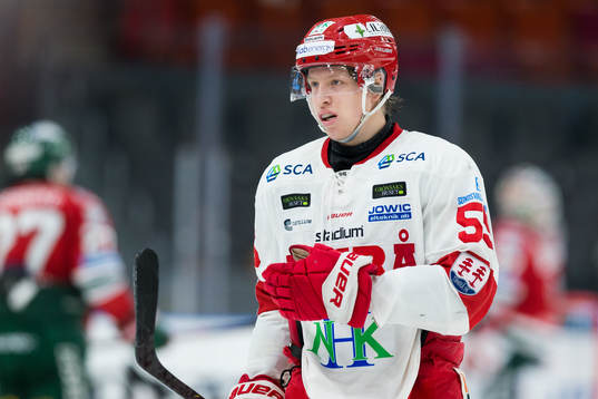 Timrås Vilmos Gallo