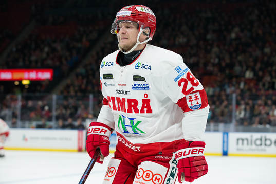 Timrås David Printz