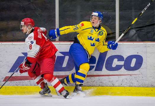 Denmark defenceman Daniel Andersen (8)  checks Sweden