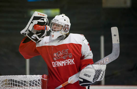 Denmark goalie Mads Søgaard (30)