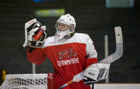 Denmark goalie Mads Søgaard (30)