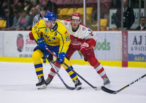 Denmark forward Lucas Andersen (17) checks Sweden forward