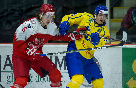 Denmark defenceman Lasse Carlsen (5)  checks Sweden forward