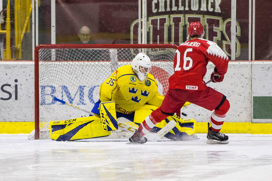Sweden goalie Olle Eriksson Ek (35)  makes a save