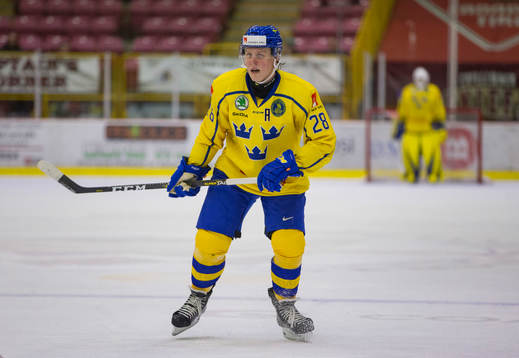 Sweden forward Fabian Zetterlund (28)