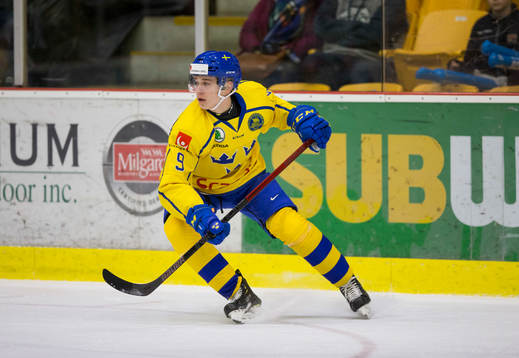Sweden defenceman Nils Lundkvist (9)