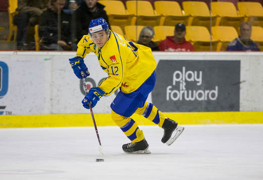 Sweden defenceman Erik Brännström (12)