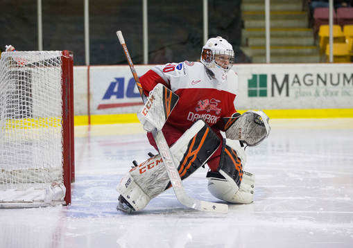 Denmark goalie Mads Søgaard (30)