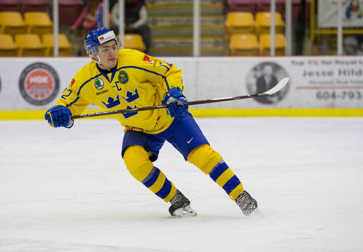 Sweden defenceman Erik Brännström (12)