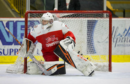 Denmark goalie Mads Søgaard (30)