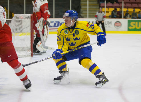 Sweden forward Fabian Zetterlund (28)