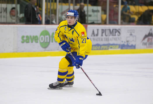 Sweden forward Nils Höglander (21)