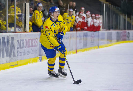 Sweden defenceman Adam Boqvist (3)