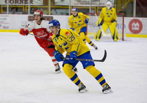 Sweden forward Pontus Holmberg (29)