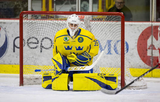 Sweden goalie Olle Eriksson Ek (35)