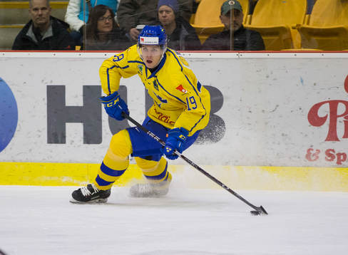 Sweden forward Filip Hållander (19)