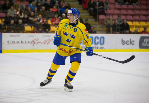 Sweden defenceman Rasmus Sandin (8)
