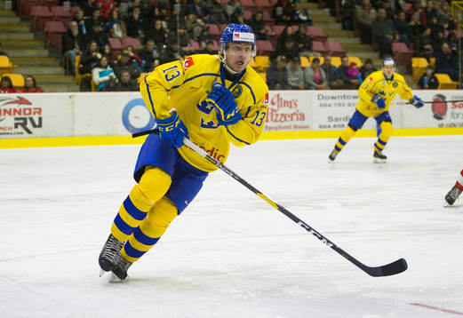 Sweden forward Johan Södergran (13)