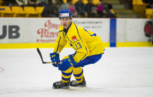 Sweden forward Johan Södergran (13)