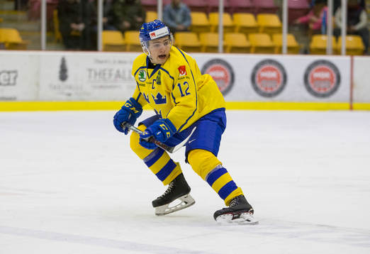 Sweden defenceman Erik Brännström (12)