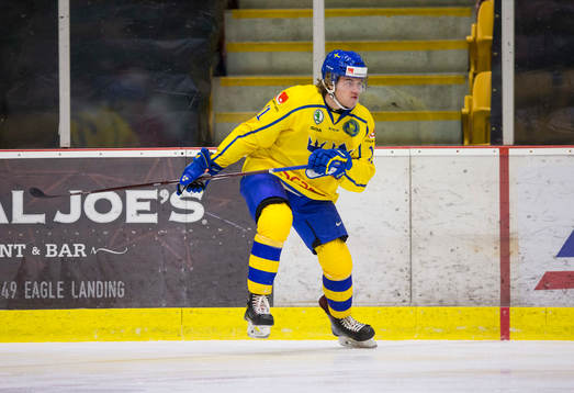 Sweden forward Samuel Fagemo (11)  in action  against