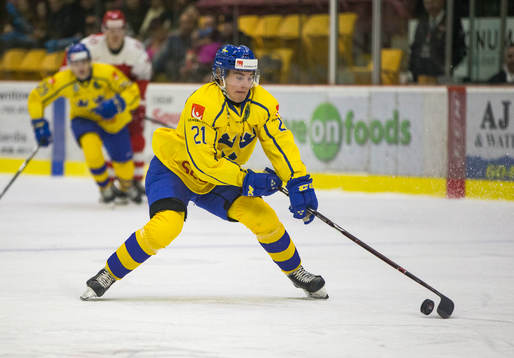 Sweden forward Nils Höglander (21)