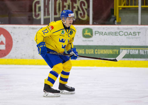 Sweden defenceman Erik Brännström (12)  in action