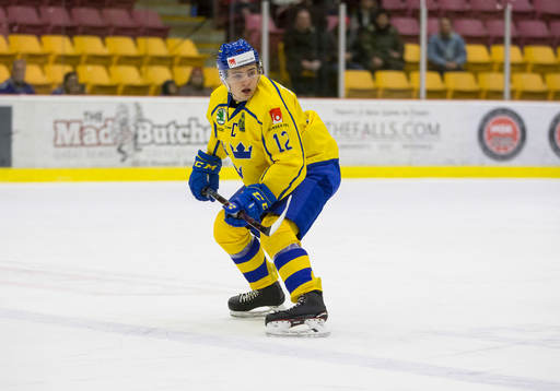 Sweden defenceman Erik Brännström (12)