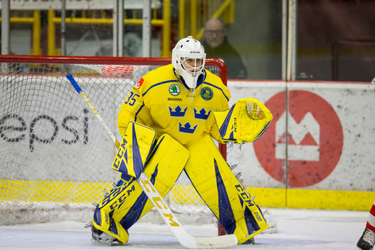 Sweden goalie Olle Eriksson Ek (35)