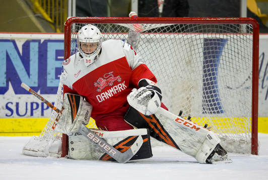 Denmark goalie Mads Søgaard (30)