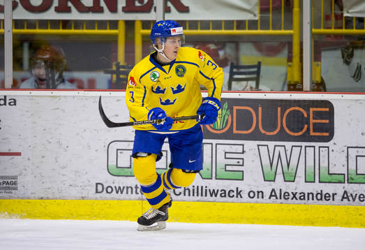 Sweden defenceman Adam Boqvist (3)