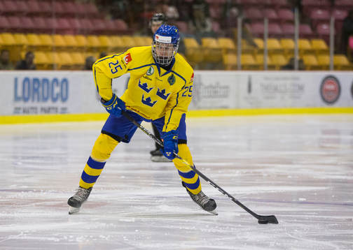 Sweden defenceman Philip Broberg (25)