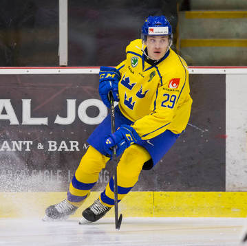 Sweden forward Pontus Holmberg (29)  in action  against