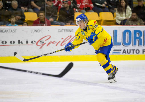 Sweden defenceman Filip Westerlund (16)  in action  against