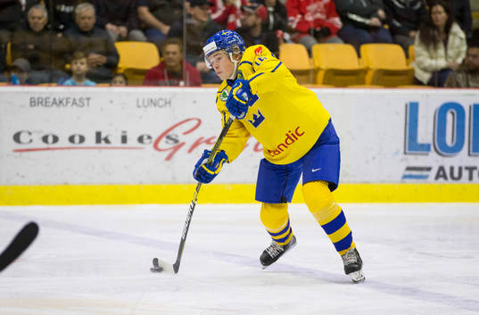 Sweden defenceman Filip Westerlund (16)  in action  against