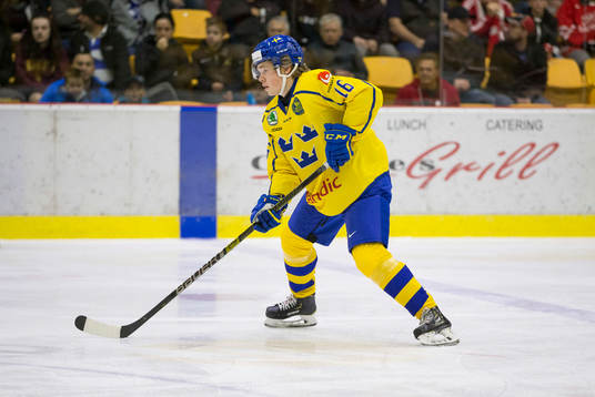 Sweden defenceman Filip Westerlund (16)  in action  against