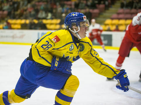 Sweden forward Fabian Zetterlund (28)