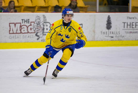Sweden forward Nils Höglander (21)