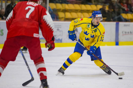 Sweden defenceman Erik Brännström (12)