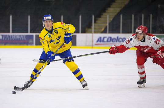 Denmark forward Victor Cubars (29) checks Sweden defenceman