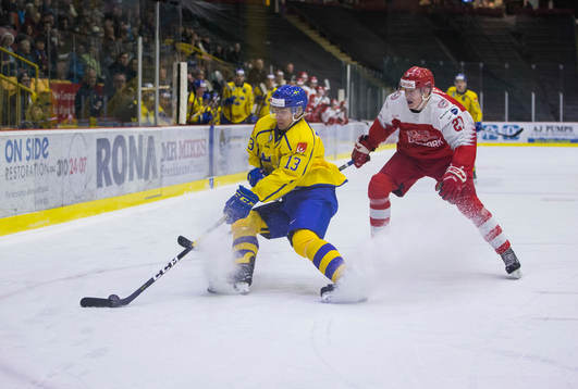 Denmark forward Phillip Schultz (27) checks Sweden forward