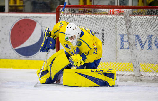 Sweden goalie Olle Eriksson Ek (35)